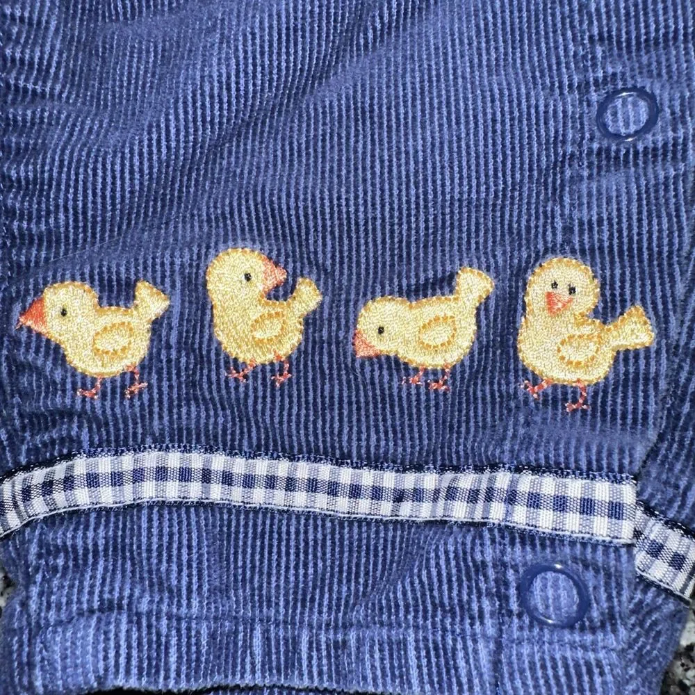 Vintage 90's Buster Brown Size 24M Farm Corduroy Overalls Set Baby Chick Rare